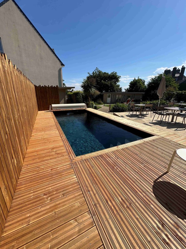 Photo - Our pool services1 agapanthes 1 swimming pool1 agapanthes 1